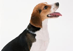 横浜で印刷会社の需要が増えている