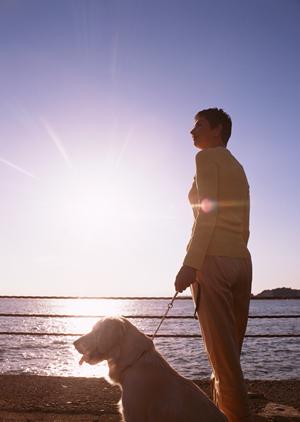 2025年最新版:初心者にも安心!信頼できるフレンチブルドッグのブリーダーと選び方ガイド