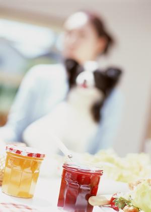 表参道から利用しやすいペットホテル