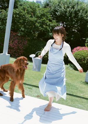 子犬や子猫を購入するまでの流れ