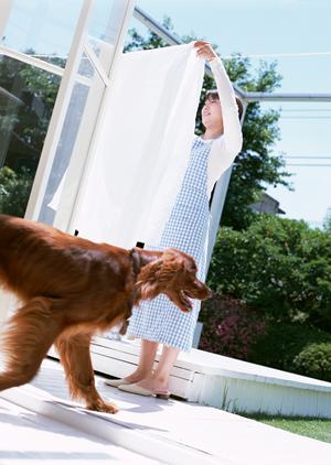 犬の健康をサポート！ロイヤルカナンの療法食がおすすめの理由