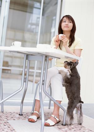 シロアリ駆除の専門サービス:アサンテで安心の土日祝も対応、即日施工も可能