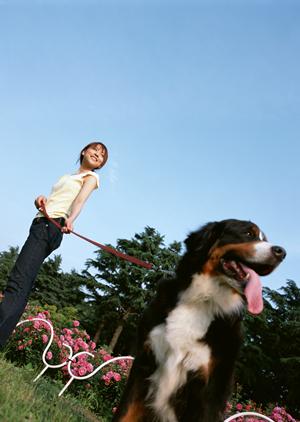 ホームドクターに最適な動物病院