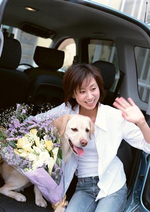 チワワの基本情報と子犬の育て方